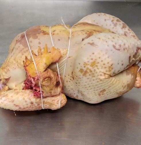 poulet-chabratbis