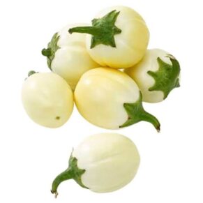 Aubergine