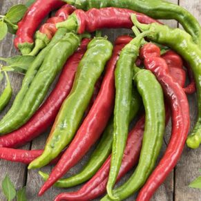 Piment long
