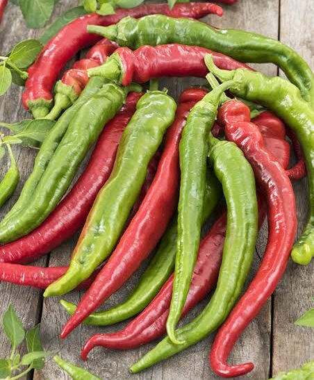 Piment long