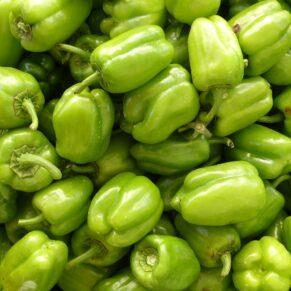 Piment vert