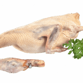 Viande de canard