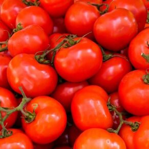 Tomate